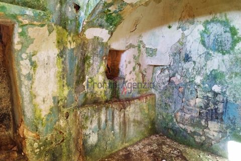 Landejendom i Ostuni, Brindisi, Ostuni - € 125.000 | Ref: 172528 - foto 5